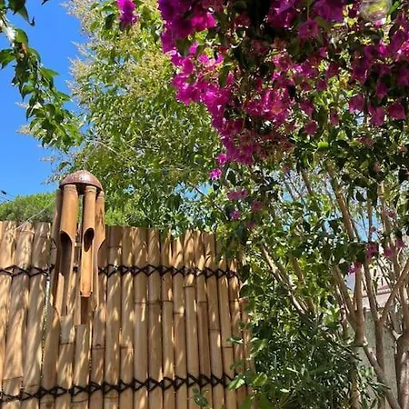 Avec Rez De Jardin *