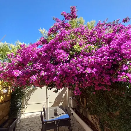 Avec Rez De Jardin Six-Fours-les-Plages