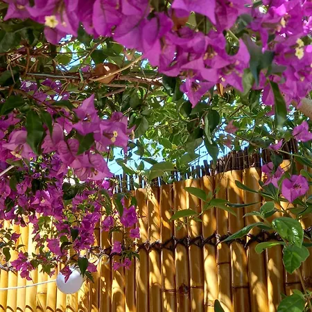 Avec Rez De Jardin Six-Fours-les-Plages