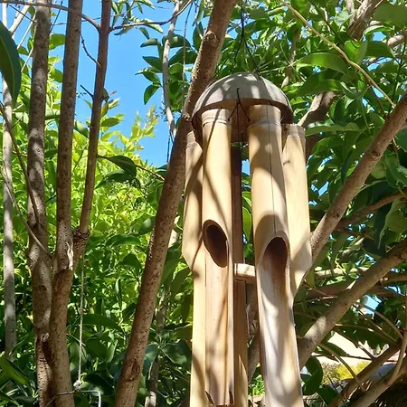 Apartment Avec Rez De Jardin *