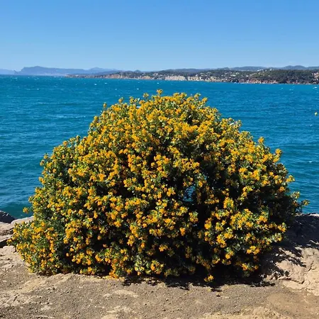 Avec Rez De Jardin Six-Fours-les-Plages