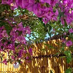 Avec Rez De Jardin Six-Fours-les-Plages