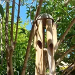 Appartement Avec Rez De Jardin *
