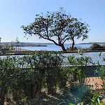 Avec Rez De Jardin Appartement Six-Fours-les-Plages