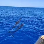 Avec Rez De Jardin Six-Fours-les-Plages