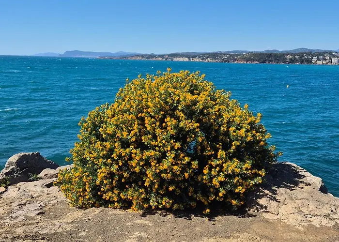 Avec Rez De Jardin Six-Fours-les-Plages